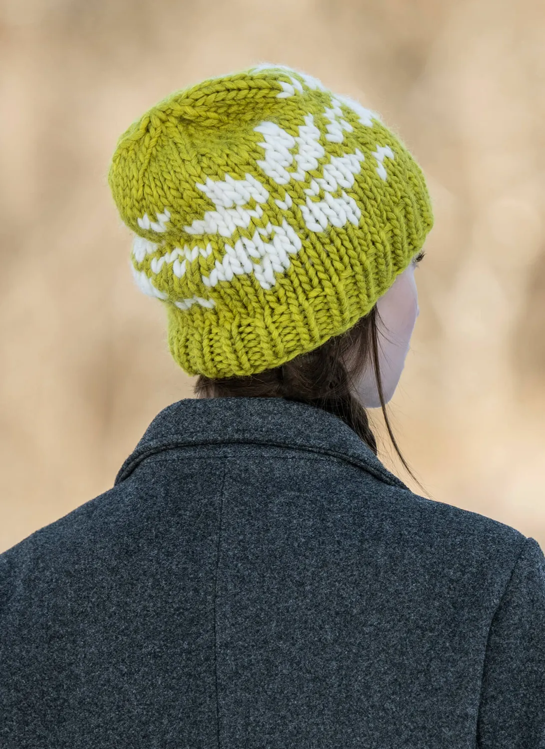 Blue Sky Fibers Classic Frosty North Hat Strickanleitung 202501