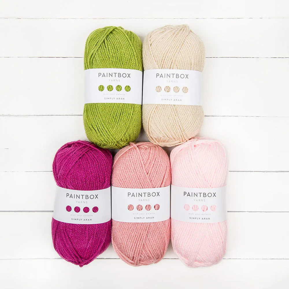 Paintbox Yarns Simply Aran Colour Pack 5x100g kuratiert