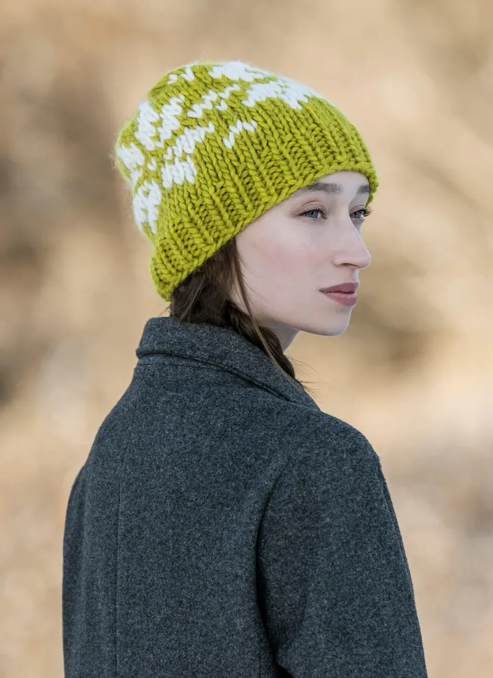 Blue Sky Fibers Classic Frosty North Hat Strickanleitung 202501