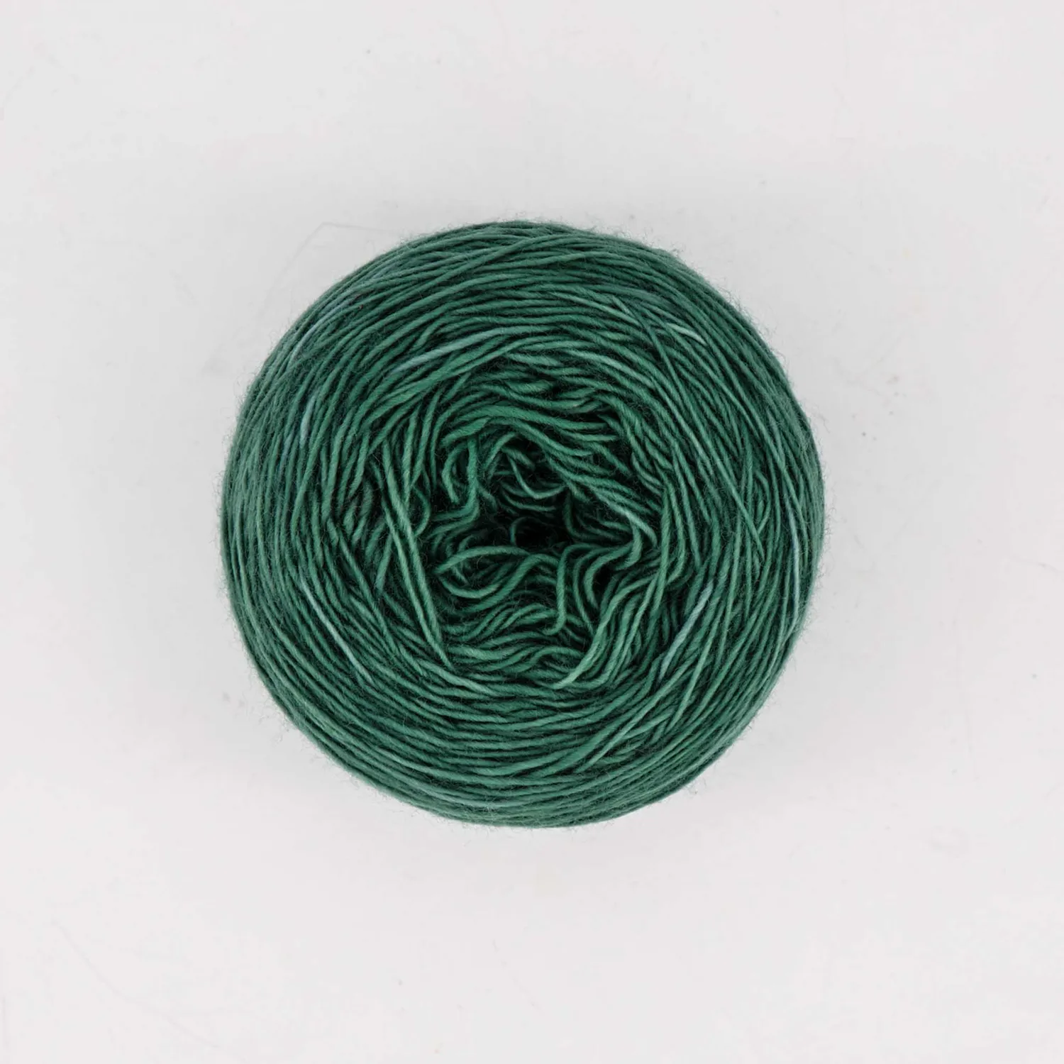 Cowgirlblues Merino Lace Garn Rainforest handgefärbt