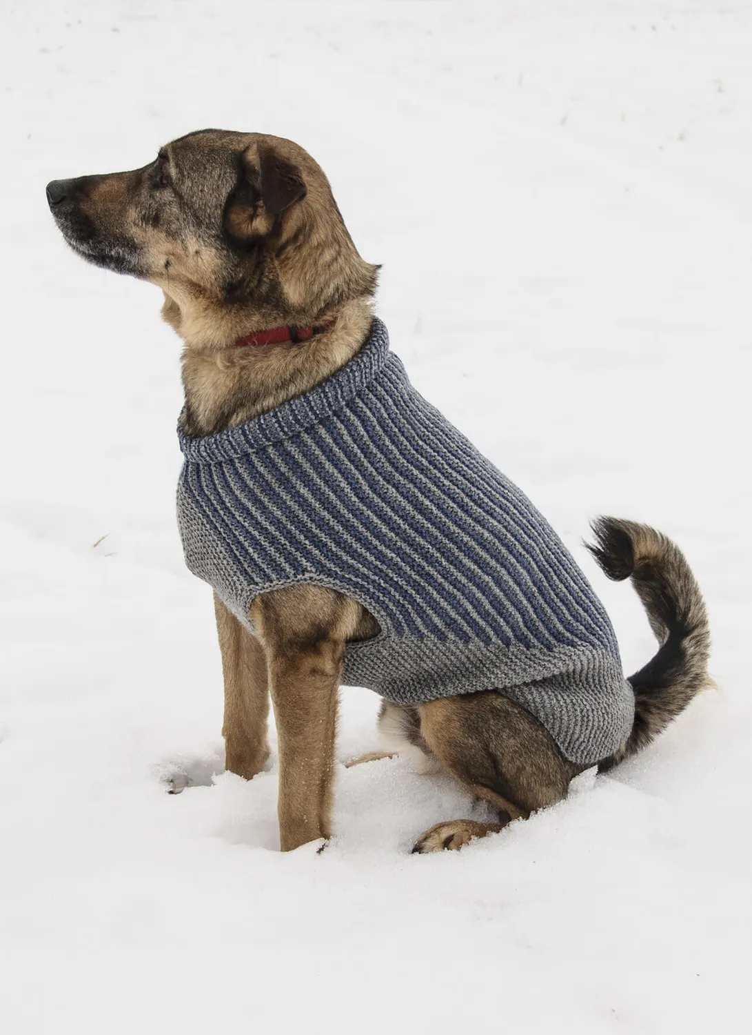 Blue Sky Fibers Bird Island Dog Sweater Anleitung Hund