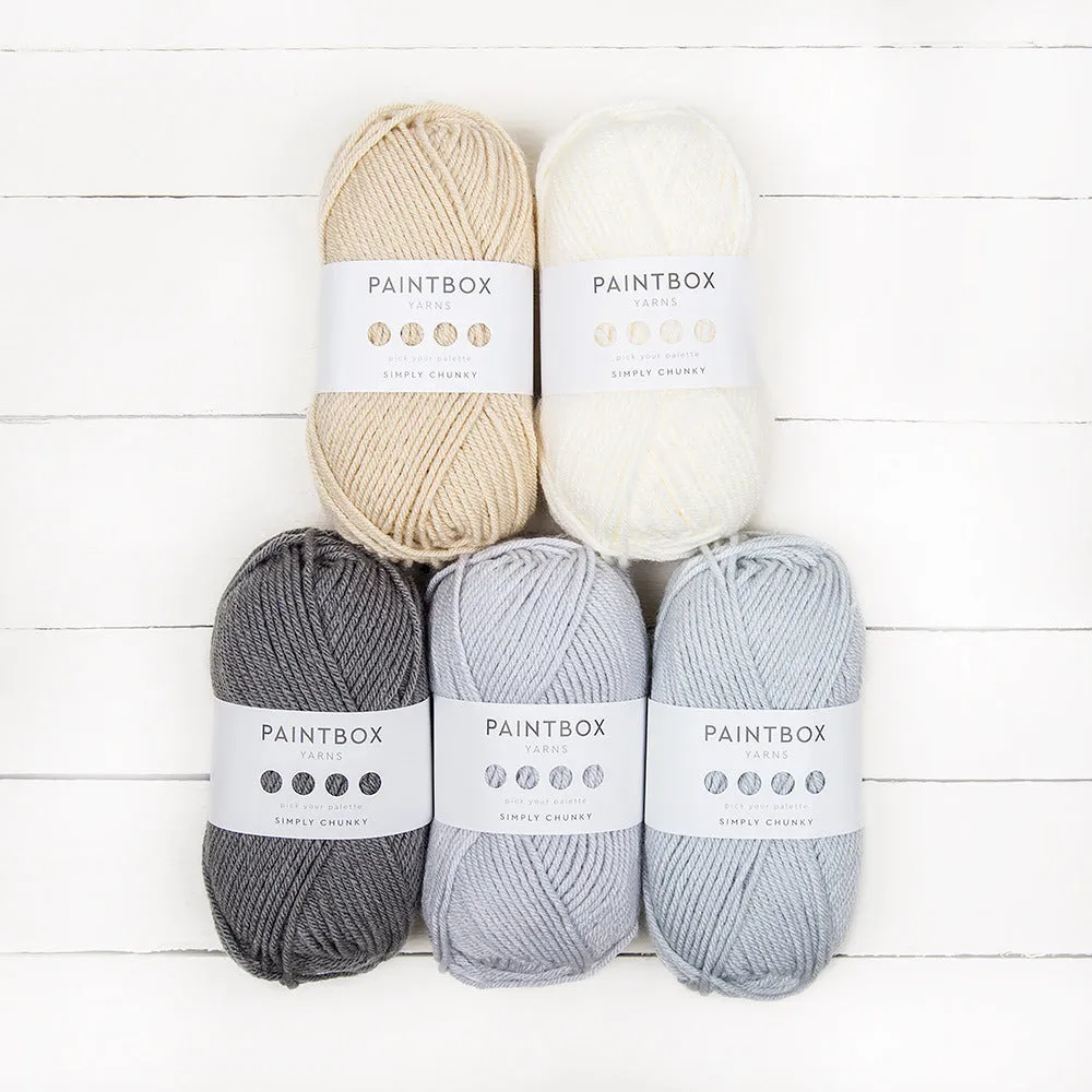 Paintbox Simply Chunky Strickgarn 5x100g Designer Picks Set