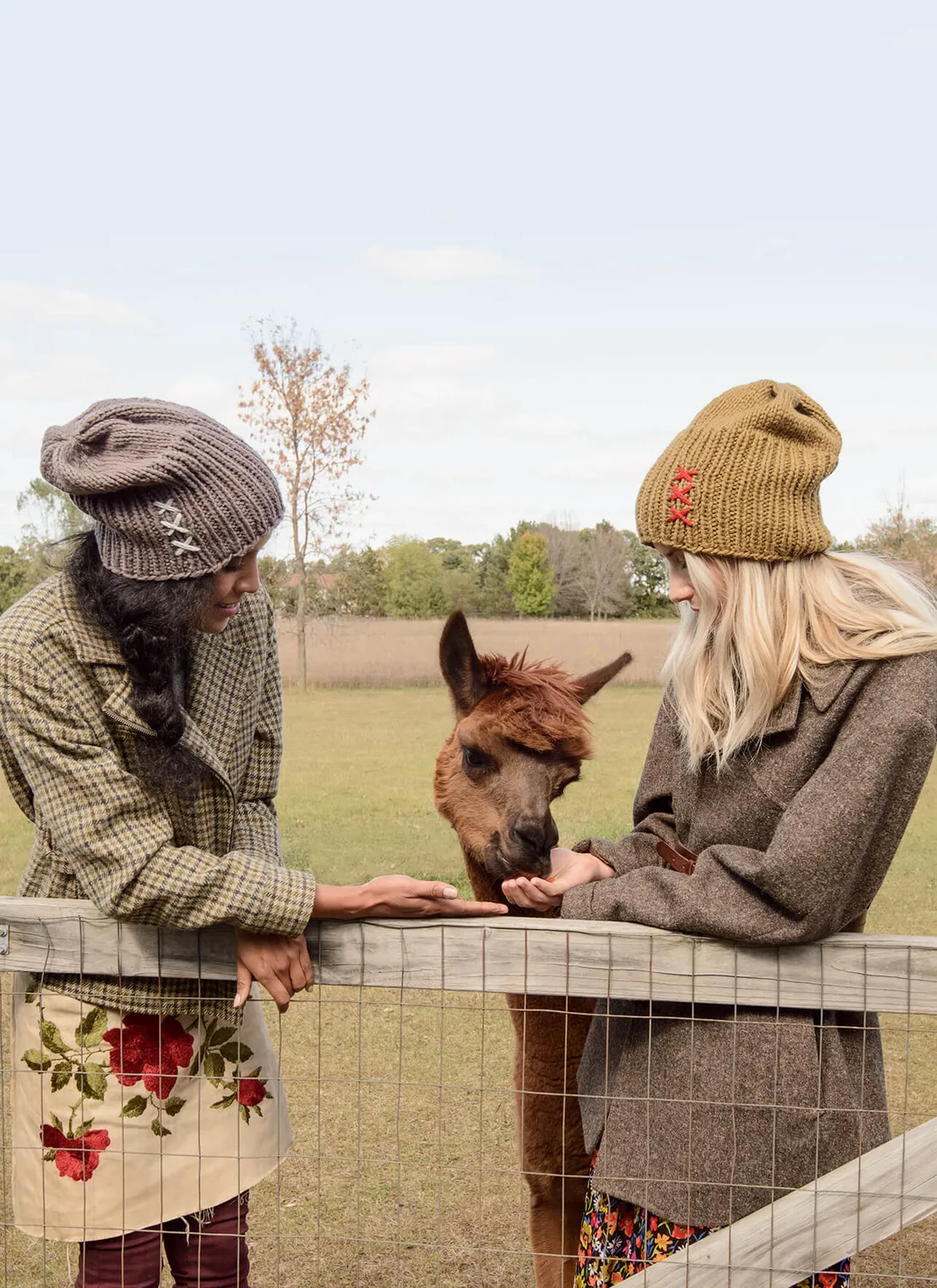 Blue Sky Fibers Glidden Hat Strickanleitung Bio-Baumwolle